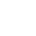 Skidor